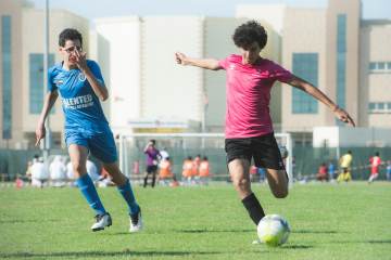 【世界杯女神38】我敢说这是本系列颜值最高的......（配图示意）